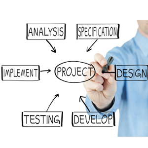 Software Procurement and Implementation